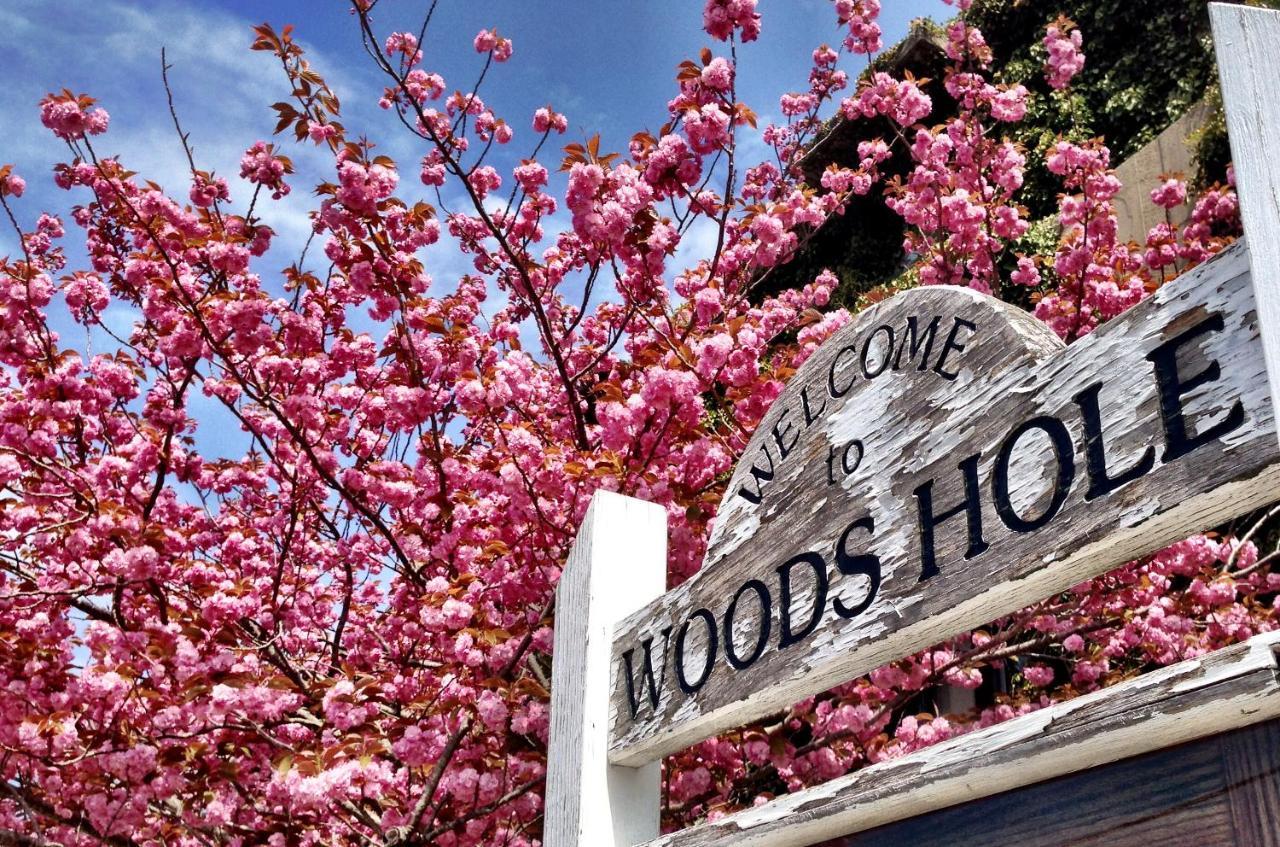 Treehouse Lodge Woods Hole Exterior photo